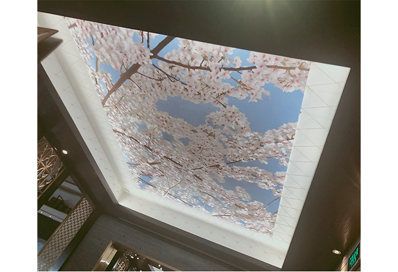 苏州凯宾斯基2期